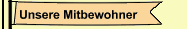 Unsere Mitbewohner